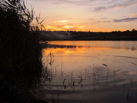 Tranquil Sunset On The Lake With A Cane And Ripples In The Water