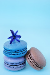 Obraz na płótnie Canvas Three multicolor macaroons on a light blue background with hyacinth flower on a top. Lavender, chocolate, blueberry, tastes with copy space