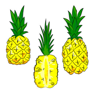 vector bright colorful yellow green pineapple fruit whole and slices  childish hand drawn set 