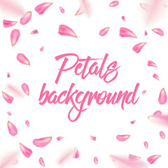 Creative vector illustration of flowers petals falling on vector transparent background. Pink, red rose or sakura flying backdrop for, mother, women day. Art design. Abstract concept graphic element.