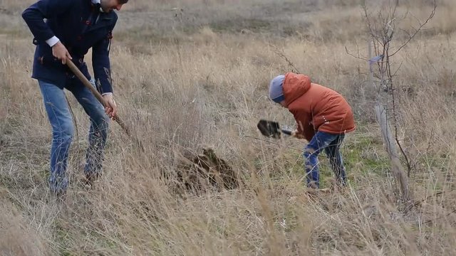 boy digs a hole for planting a tree sprout in spring 