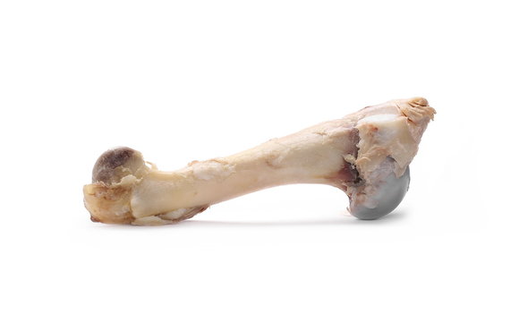 Fresh lamb bone isolated on white background
