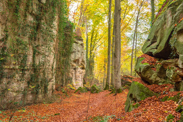 Hike along Mullerthal trail © amalasi
