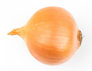Onions isolated on white background