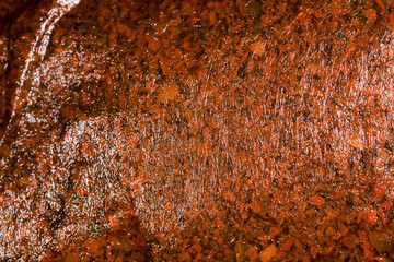 Black tea in a bag as a background