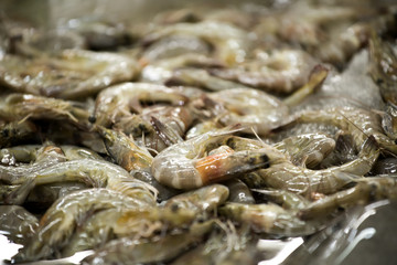 The shrimp used to Cook several delicious and there are benefits to the body   © pcbang