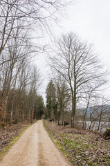 Mumpf, Wallbach, Rhein, Rheinufer, Hochrhein, Uferweg, Fluss, Wanderweg, Wald, Waldweg, Aargau, Fricktal, Frühling, Schweiz