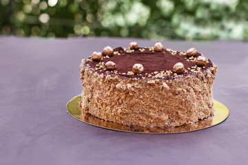 Chocolate cake, a beautifully decorated cake, a piece of cake.