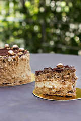 Chocolate cake, a beautifully decorated cake, a piece of cake.
