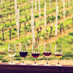 Glasses with wine. Red, pink, white wine in glasses.