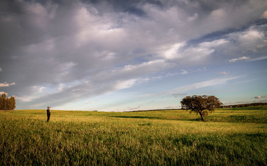 Lonely person in the middle of the pasture of Extremadura under a cloudy sky