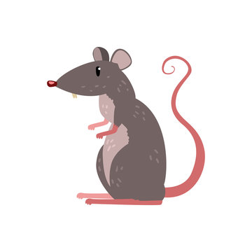 Cute funny mouse character vector Illustration on a white background