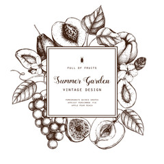 Vintage fruits and berries - apple, pear,  peach, apricot, quince, cherry card design. Vector summer or autumn template. Hand drawn harvest illustration. Wedding decoration.