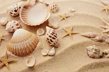 Papier Peint photo Lavable Salle de bain coquillages sur la plage de sable