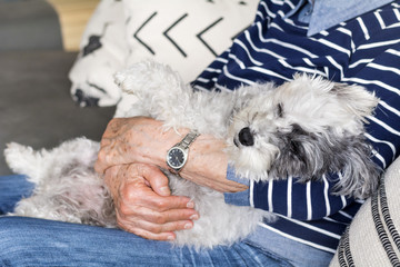 Senior Woman Hugging her Poodle Dog at Home.Sleeping Dog