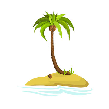 Illustration of a palm tree on an island. Decorative palm tree isolated on white background. Vector. Icon.