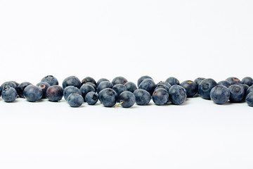 Blaubeeren 