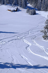 multiple ski tracks in deep snow