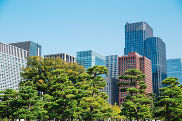 Obraz premium Tokyo modern building under blue sky