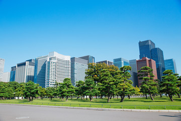 Tokyo modern building under blue sky