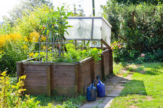 Hochbeet im Sommer, Mischkultur im Garten