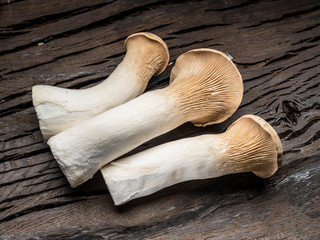 King oyster mushrooms on the wooden background.