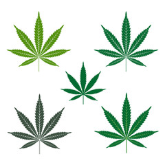 Cannabis or marijuana leaf icons set. Vector Logo Template. Isolated illustration on white background.