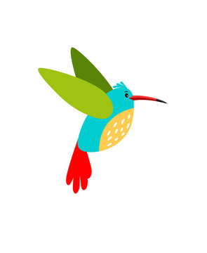 Colibri cartoon bird icon