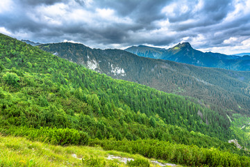 Fototapeta na wymiar Green forest and mountains, panorama with top of the mountain in the sky