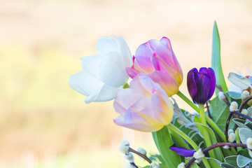 Tulips flowers arrangement
