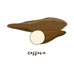 Cassava. Flat design. Vector illustration. 