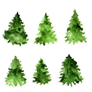 Set of green watercolor spruces. Fir tree collection.