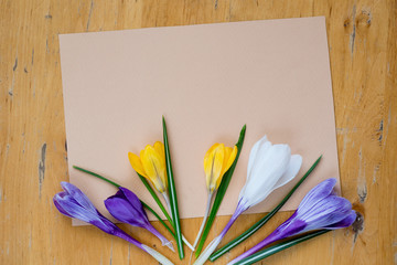 Karta z życzeniami i kolorowe kwiaty na drewnianym tle