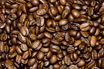 Background, texture of aromatic fresh, not prepared, and not ground, granular coffee