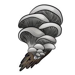 Edible mushroom flat icon. Oyster.