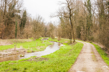 Möhlin, Möhlinbach, Bachtele, Naturschutzgebiet, Vogelschutz, Rhein, Rheinufer, Hochrhein, Uferweg, Rheinuferweg, Rheinfelden, Wanderweg, Wald, Waldweg, Aargau, Fricktal, Frühling, Schweiz