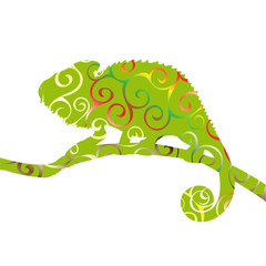 Chameleon lizard reptile spiral pattern color silhouette animal