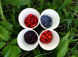 Useful berries in white glasses on a background of green grass: honeysuckle, cherry, strawberry,...