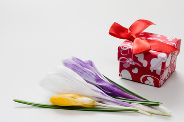 Kwiaty i prezent w pudełku na szarym tle