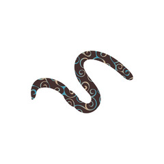Worm earthworm spiral pattern color silhouette animal.