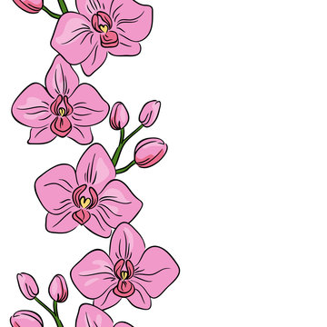 vector color pink orchid flower plant on white exotic tropical floral vertical seamless repeated pattern on white