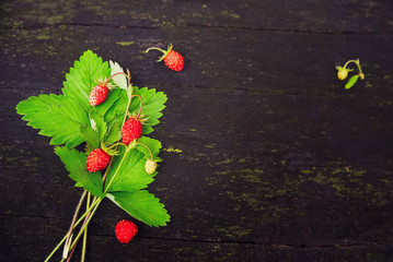 A bunch of wild ripe strawberries on a dark woody background in the forest. Natural background . Diet Concept Food