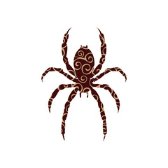 Obraz premium Spider insect spiral pattern color silhouette animal.