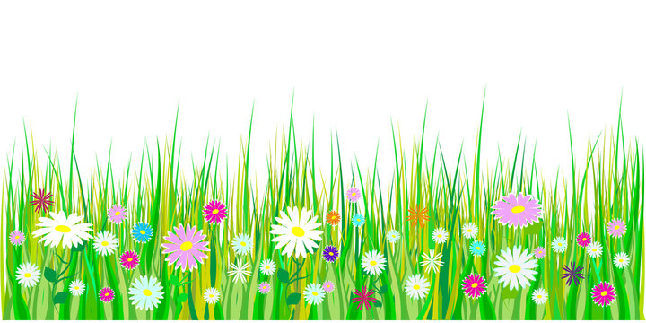 Spring grass and flowers borders. Easter decoration with spring grass and meadow flowers. Isolated on white background. Vector