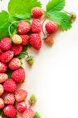 A scattered crop of wild strawberries. Red ripe berry on a light background. Diet Concept Food Light Banner.