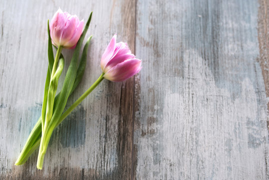 Tulips on gray vintage planks