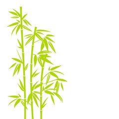Obraz premium Jasnozielony bambus