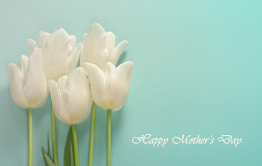 Mothers day card. White tulips on a light turquoise background