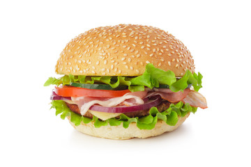 burger on white background