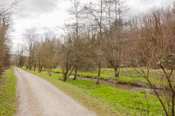 Möhlin, Möhlinbach, Bachtele, Naturschutzgebiet, Vogelschutz, Rhein, Rheinufer, Hochrhein, Uferweg, Rheinuferweg, Rheinfelden, Wanderweg, Wald, Waldweg, Aargau, Fricktal, Frühling, Schweiz